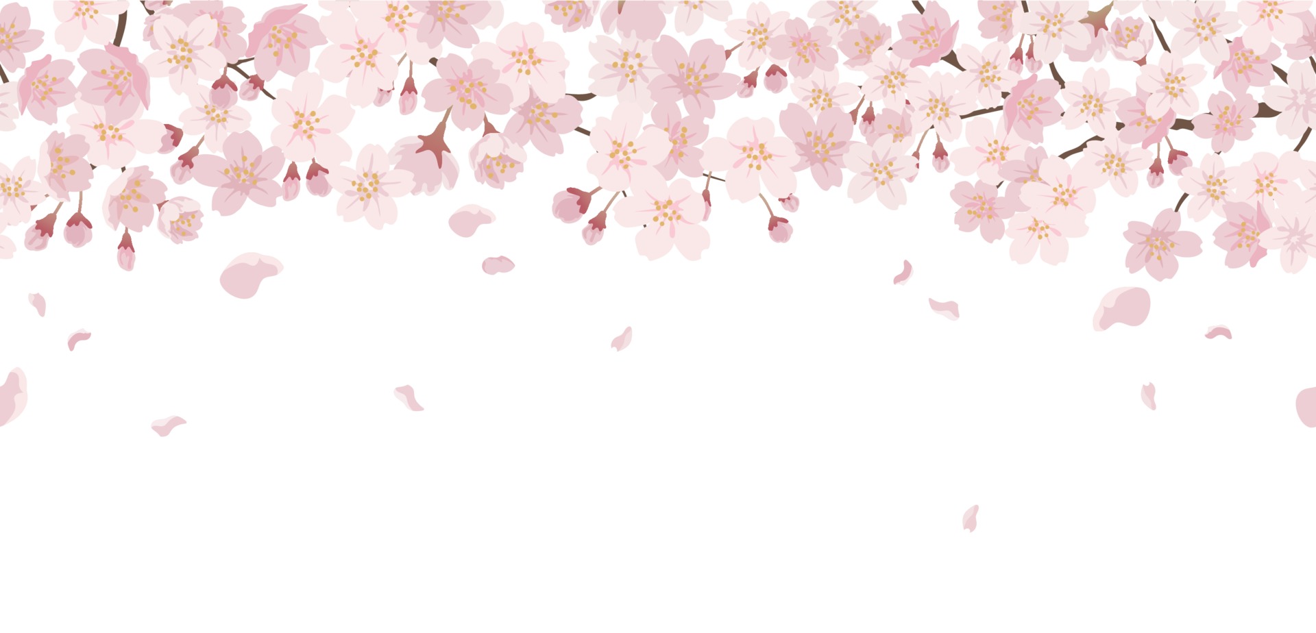 Cherry Blossom Image
